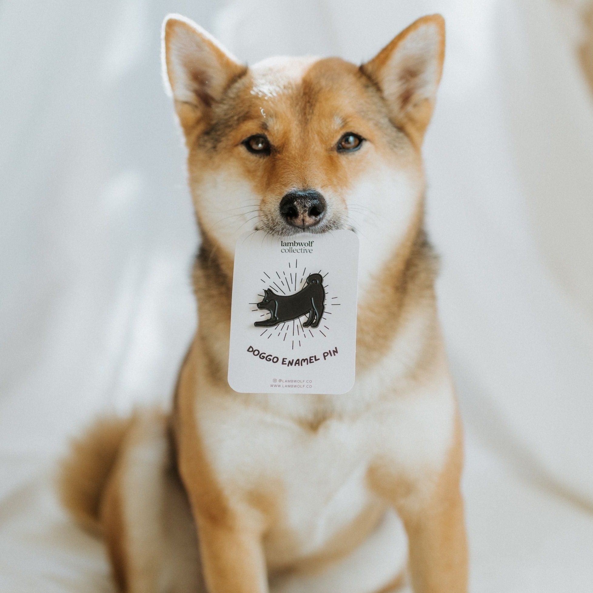 ÉPINGLE EN ÉMAIL SHIBE