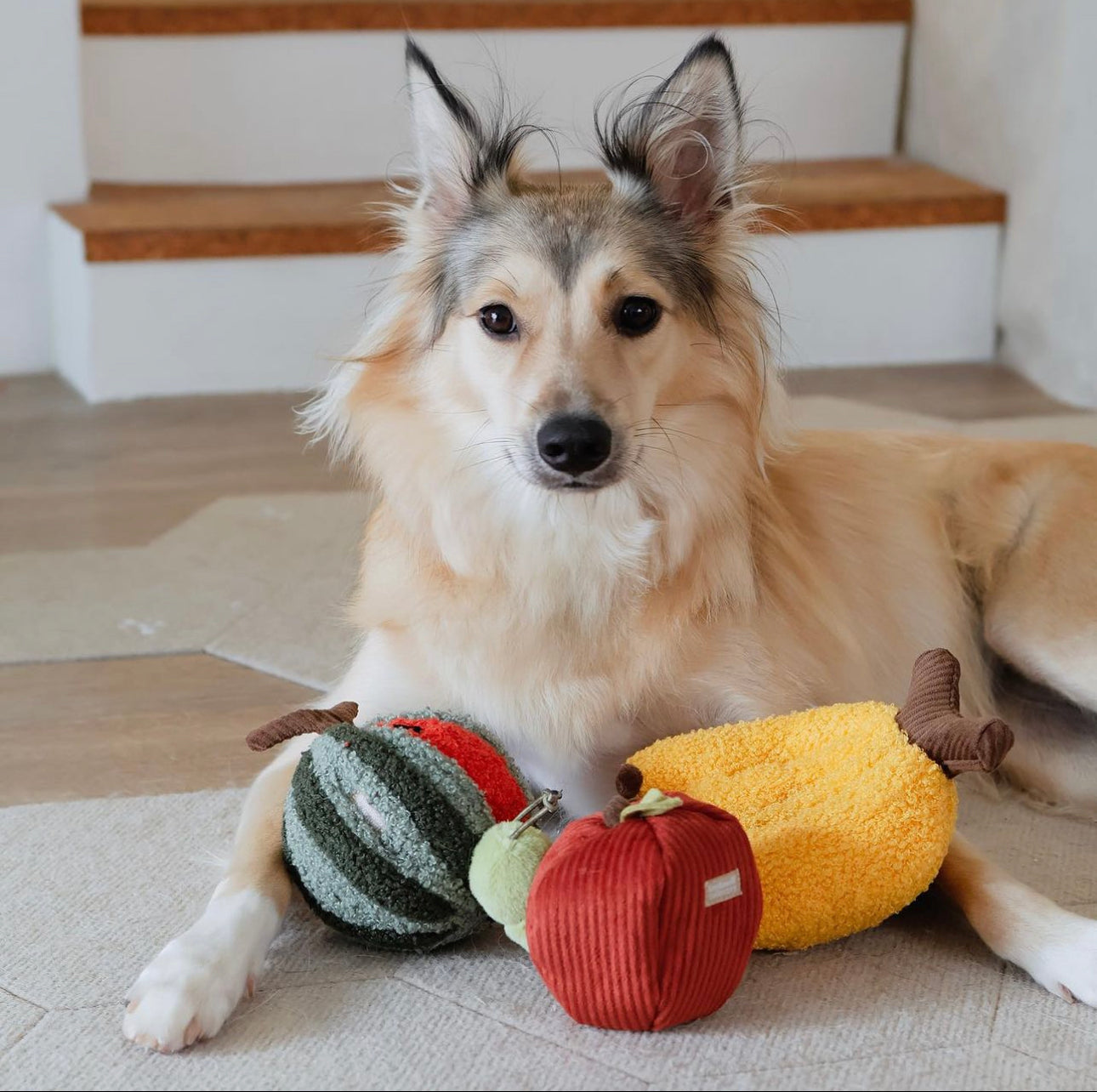 FRUIT PLAY SET- Enrichment Dog Toy – Lambwolf Collective