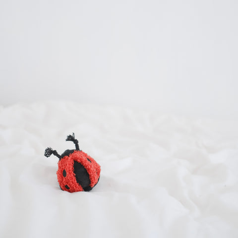 Ladybug pop interactive Dog toys enrichment dog toys squeaker snuffle dog toys