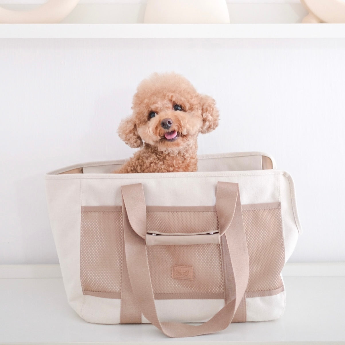 Canvas dog carrier tote best sale