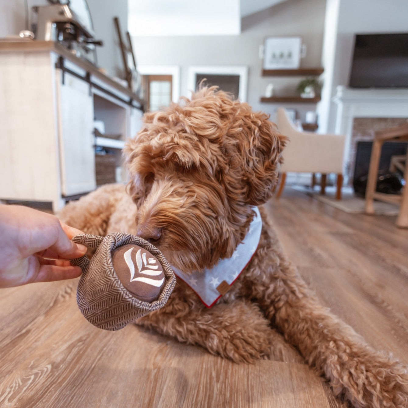 LATTE POP