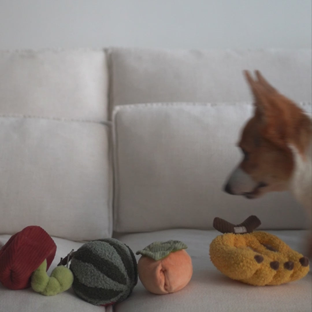 Fruit dog toys hotsell