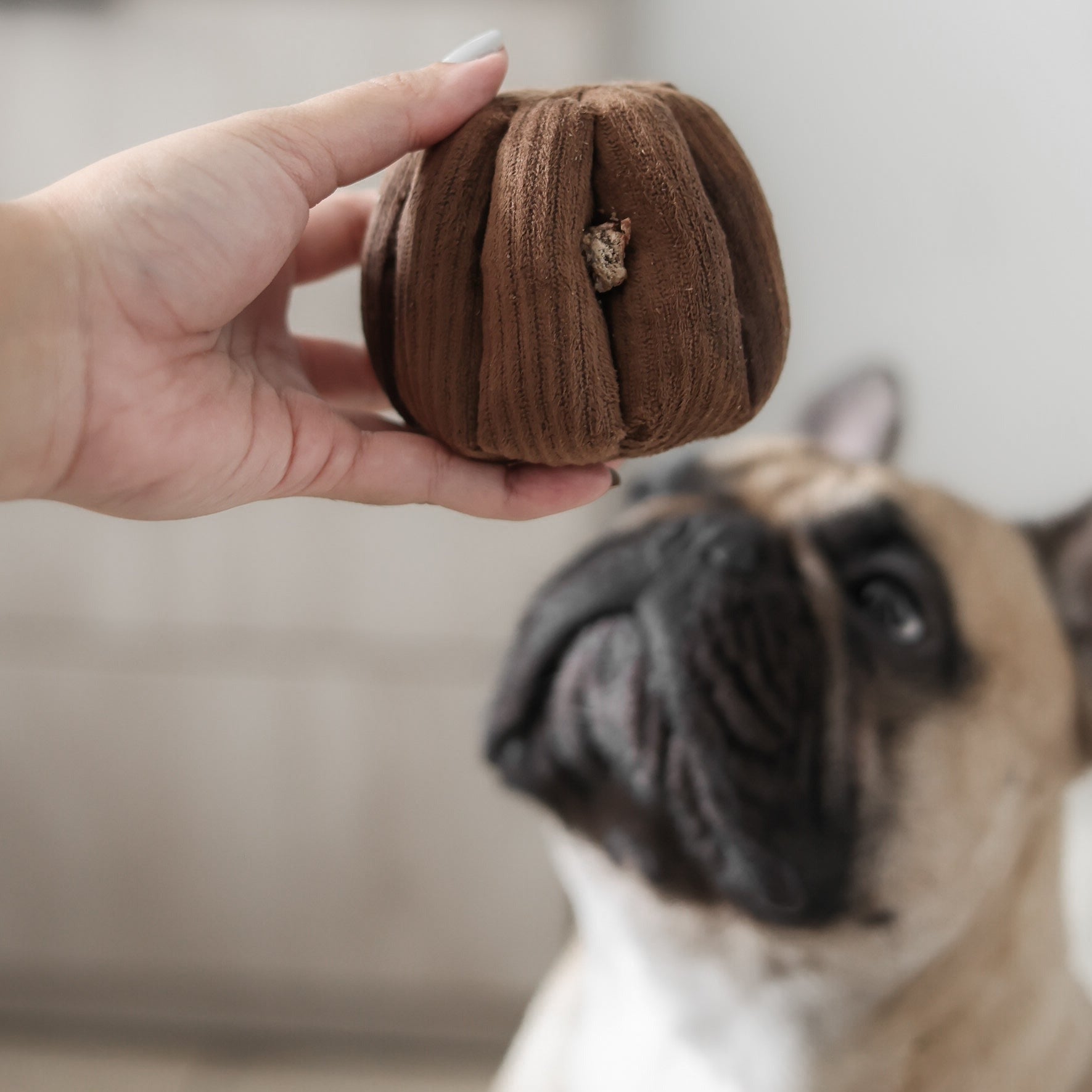 CANELE