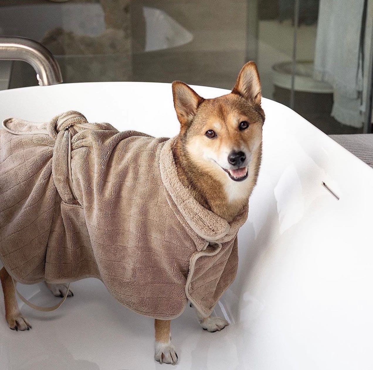 Robes fashion for dogs