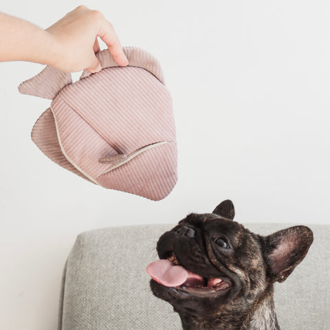 ANGEL FISH is a 2-in-1 burrow and snuffle enrichment dog toy.