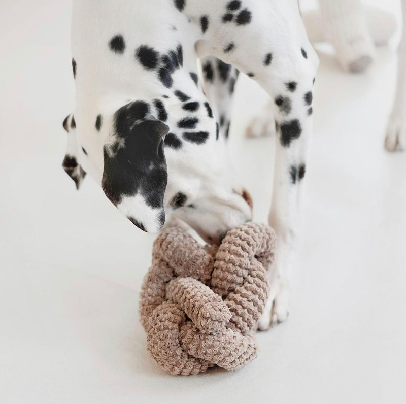 The Best Interactive Dog Toys and Puzzles