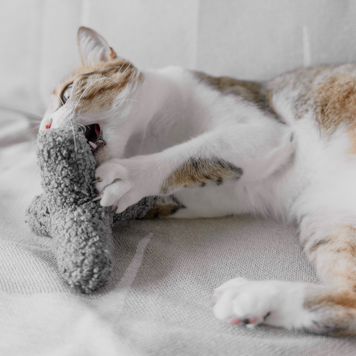 Lambwolf Collective Kitty Breuer Cat Toy Concrete