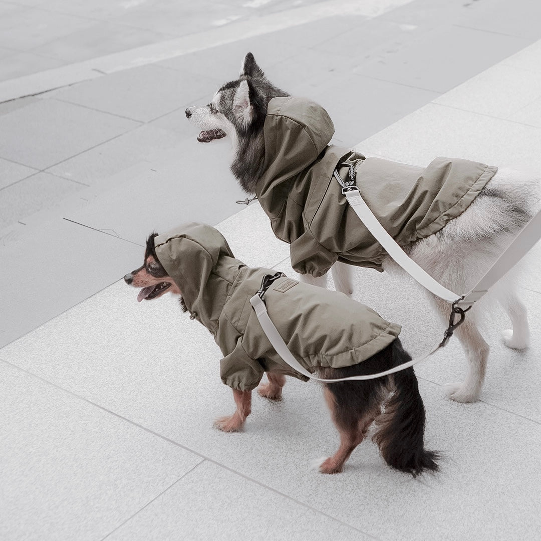 Brooklyn Raincoat Fern Green color Dog Clothes Dog apparel 