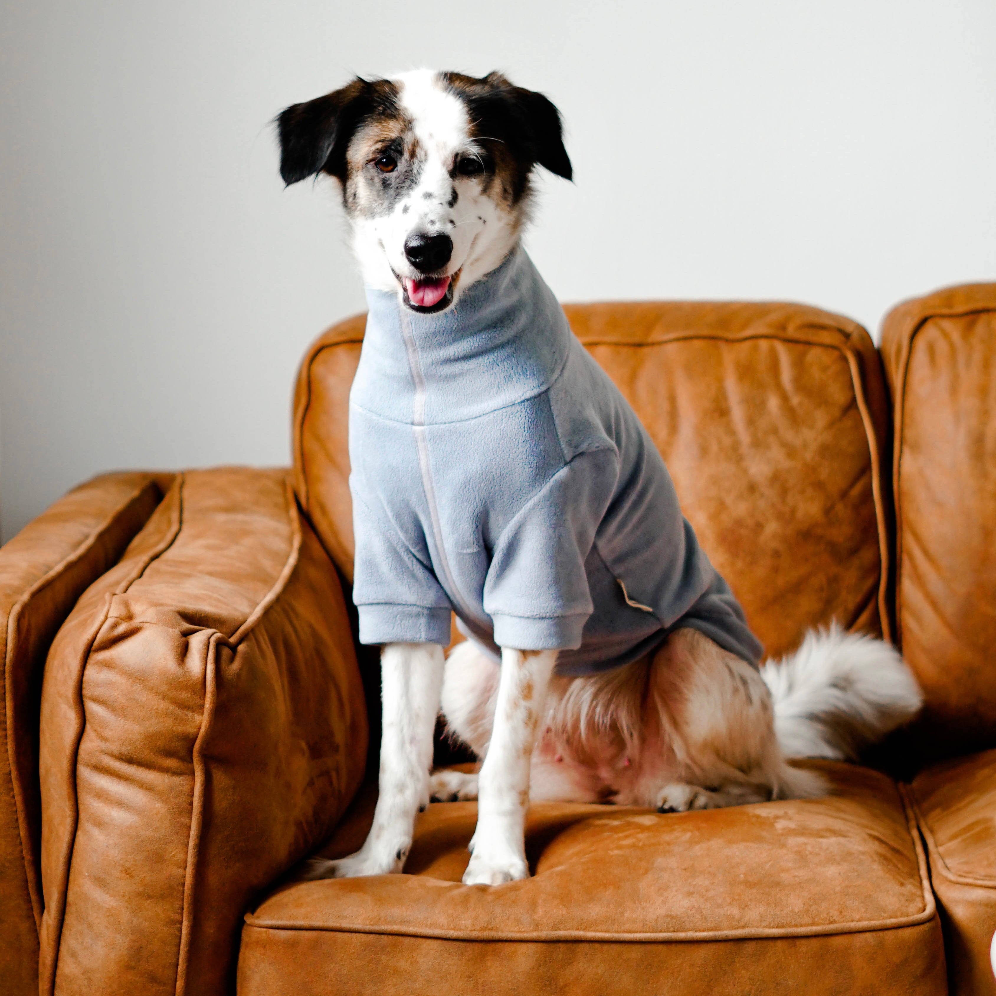 Dog fashion fleece hoodie